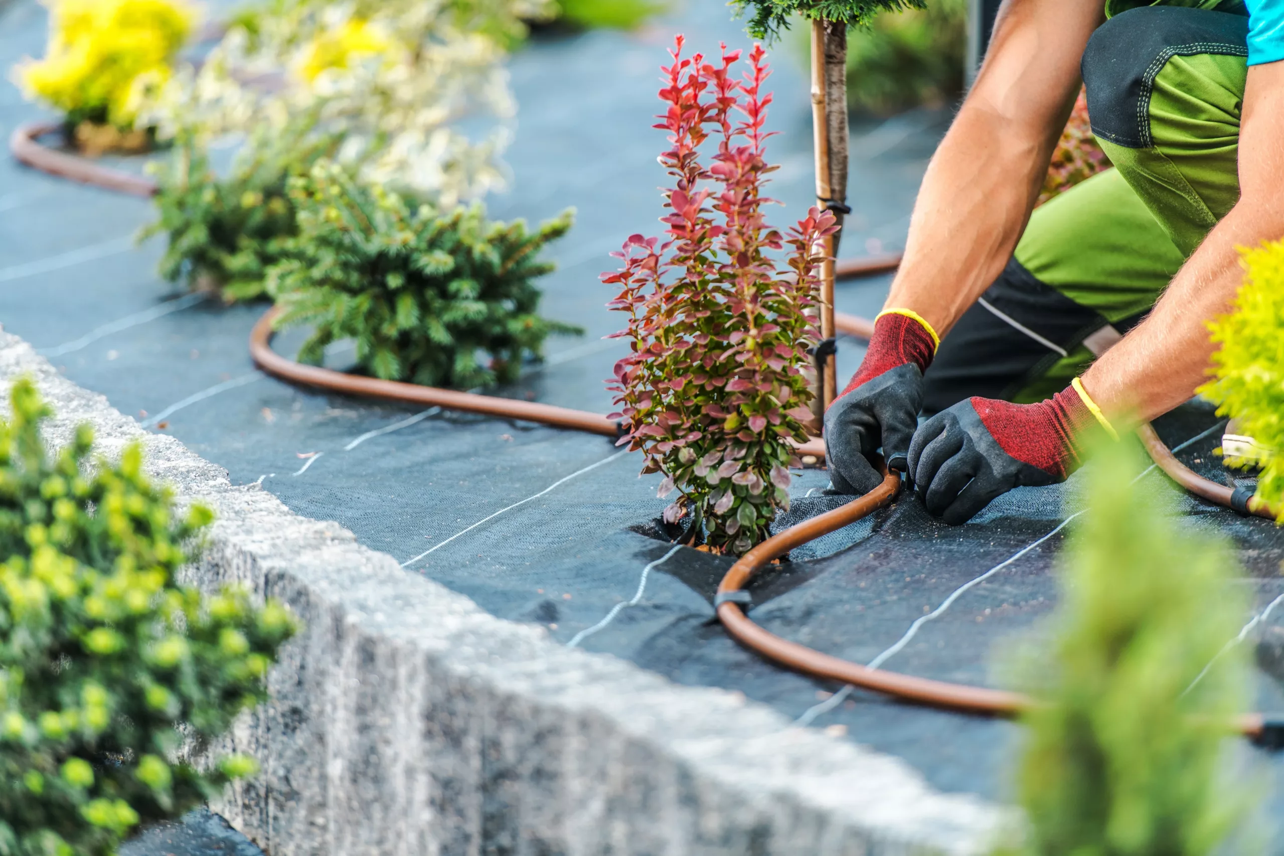 professionelle Bewässerungssysteme für Ihren Hausgarten
