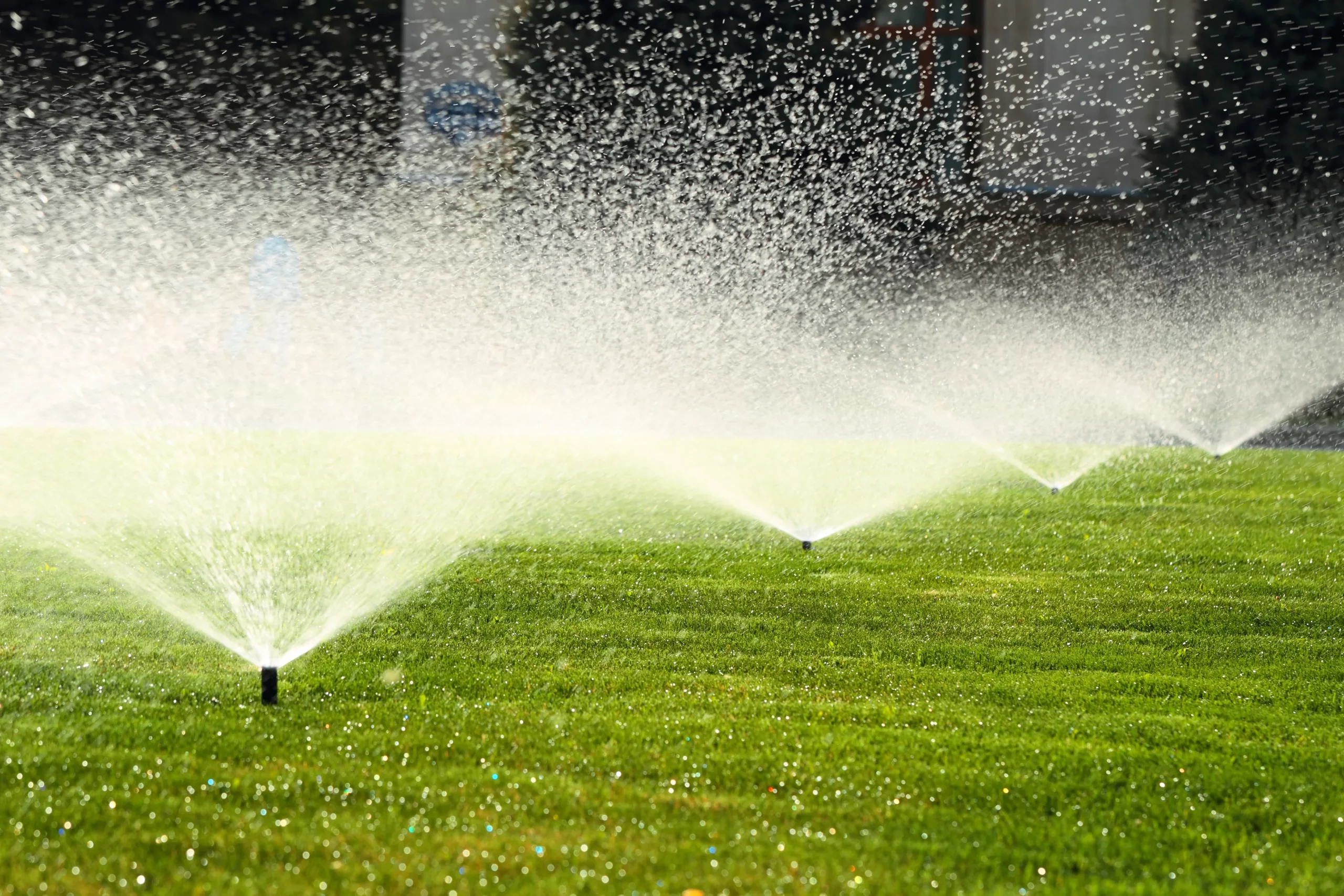 professionelle Bewässerungssysteme für Ihren Hausgarten